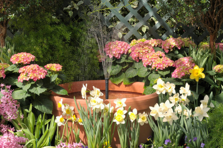 Garden for Allergy Sufferers Plants, Lawn, Pond, Etc. Best Landscape