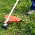 How to Choose the Best Trimmer for the Garden: Practical Tips (Part 2)