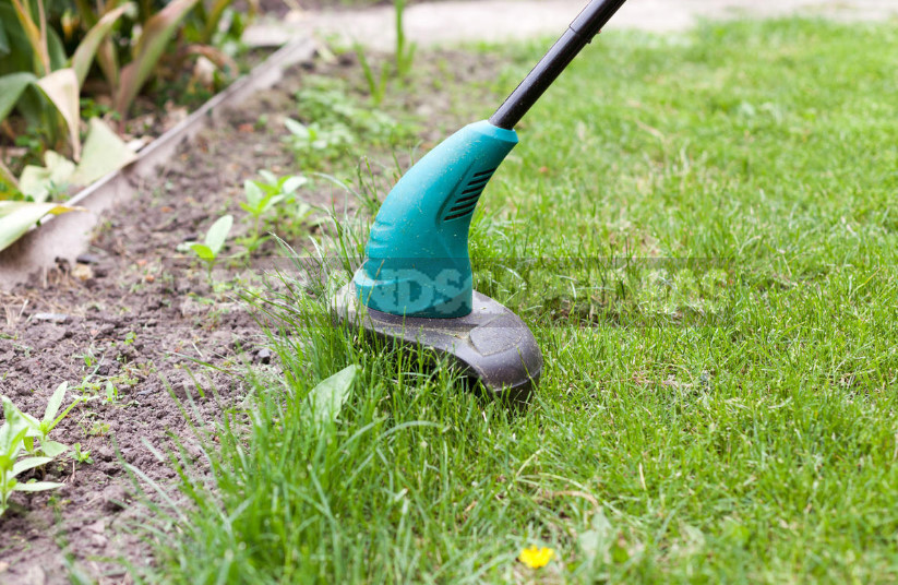 How to Choose the Best Trimmer for the Garden: Practical Tips (Part 1)