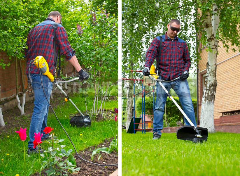 How to Choose the Best Trimmer for the Garden: Practical Tips (Part 1)
