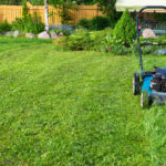 Lawn Mowers: History and Modernity, Types and Features