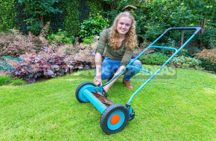 Lawn Mowers: History and Modernity, Types and Features