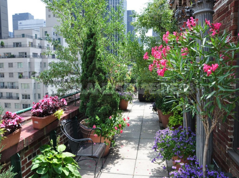 Roof Garden: Plant Selection