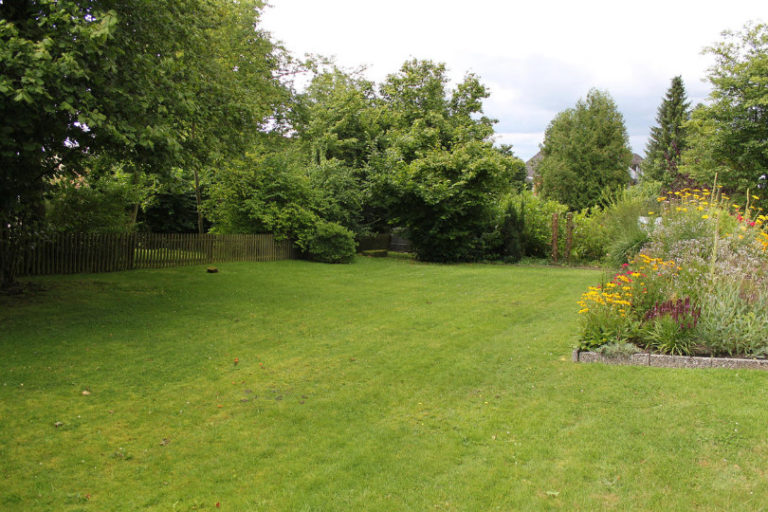 Plants for Lazy Garden Best Landscape Ideas