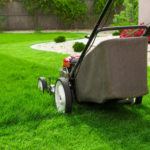 What Features of Lawn Mower Will Make Life Easier