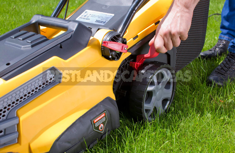 What Features of Lawn Mower Will Make Life Easier