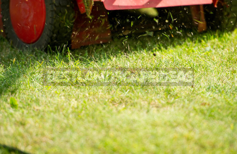 What Features of Lawn Mower Will Make Life Easier