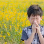 Pollinosis: Allergens, Symptoms, Treatment and Prevention