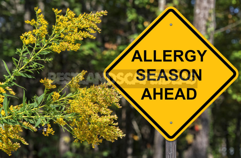 Pollinosis: Allergens, Symptoms, Treatment and Prevention