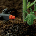 Drip Irrigation of Greenhouse