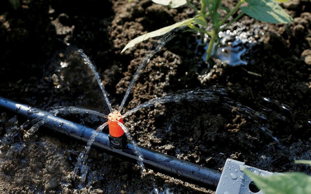 Drip Irrigation of Greenhouse Best Landscape Ideas