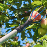Harvesting evices: Berries, Fruits and Vegetables (Part 1)