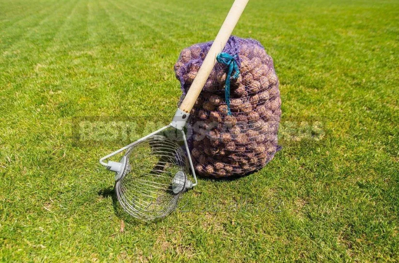 Harvesting Devices: Berries, Fruits and Vegetables (Part 2)