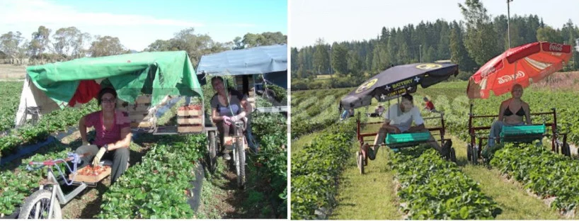Harvesting Devices: Berries, Fruits and Vegetables (Part 2)