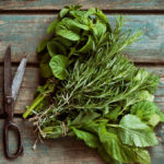 Spicy Herbs That are Harvested in July, and Their Healing Properties (Part 1)