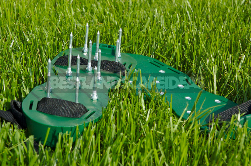 The Secret of a Beautiful Lawn: Aerator Care Will Be Easier