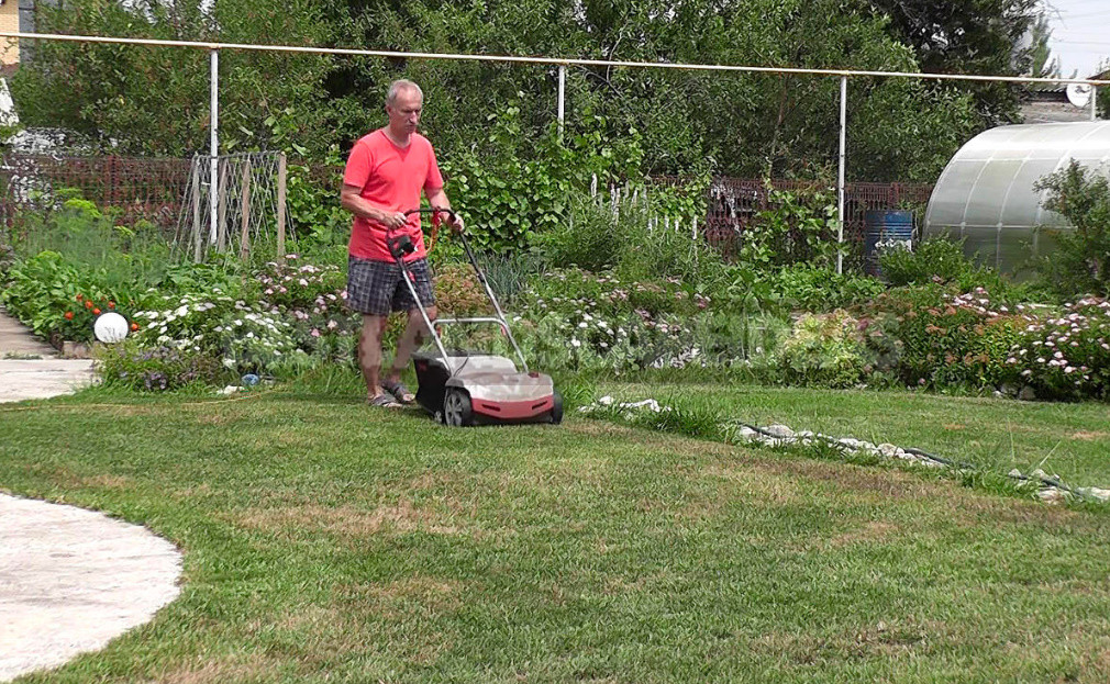 The Secret of a Beautiful Lawn: Aerator Care Will Be Easier