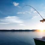 What is Opisthorchiasis and How to Disinfect Fish