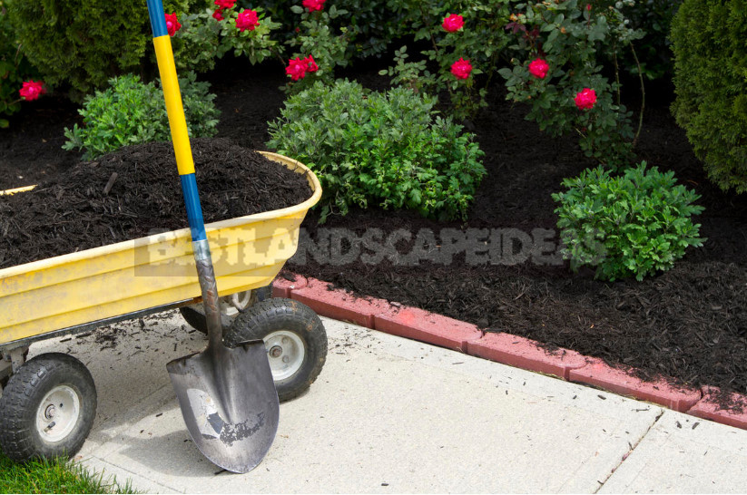 Organic Materials for Mulching and Features of their Application