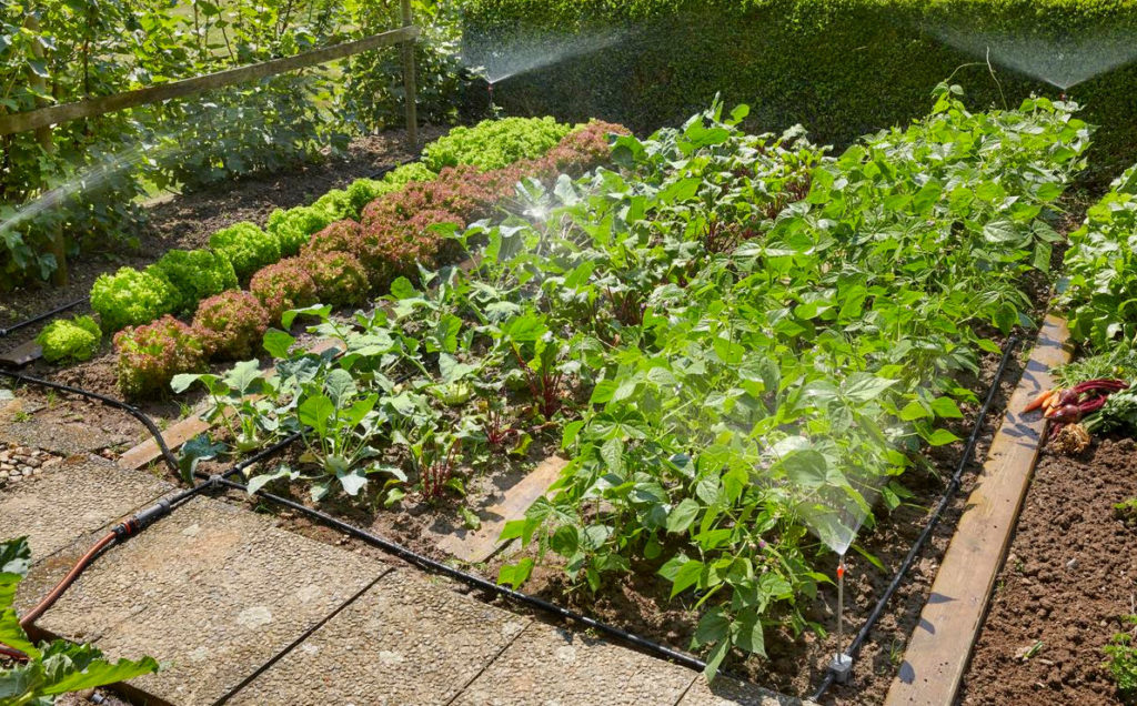 Drip Irrigation Systems: Capabilities, Device, Use