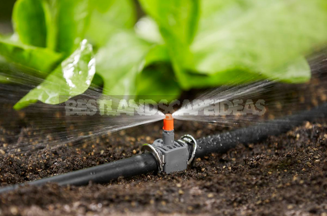 Drip Irrigation Systems: Capabilities, Device, Use