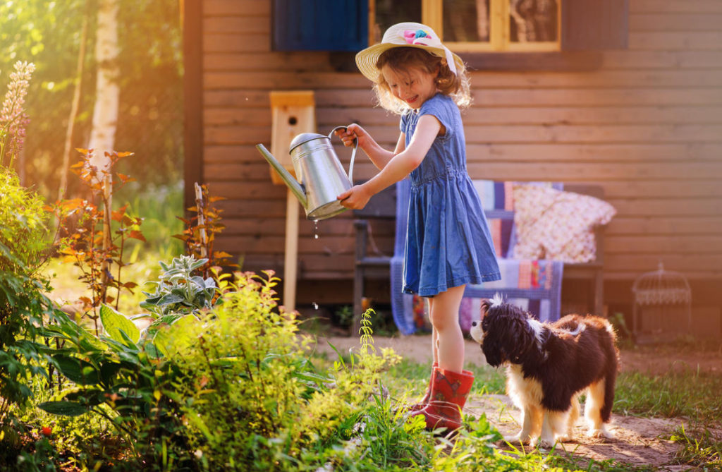 1000 Little Things for a Comfortable Cottage Life