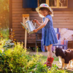 1000 Little Things for a Comfortable Cottage Life