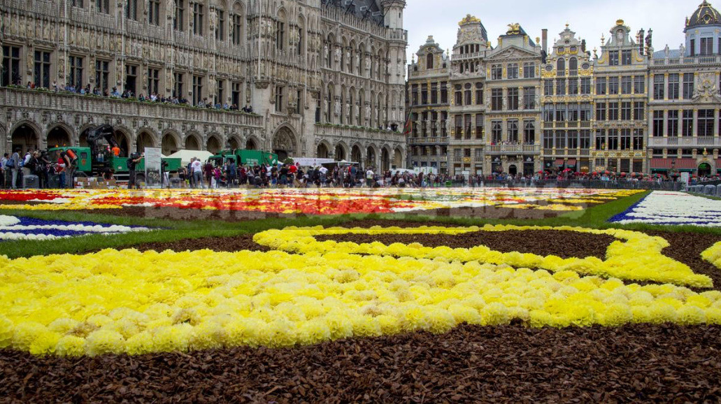 Flower Carpet in Brussels 2018: Show Flower Carpet