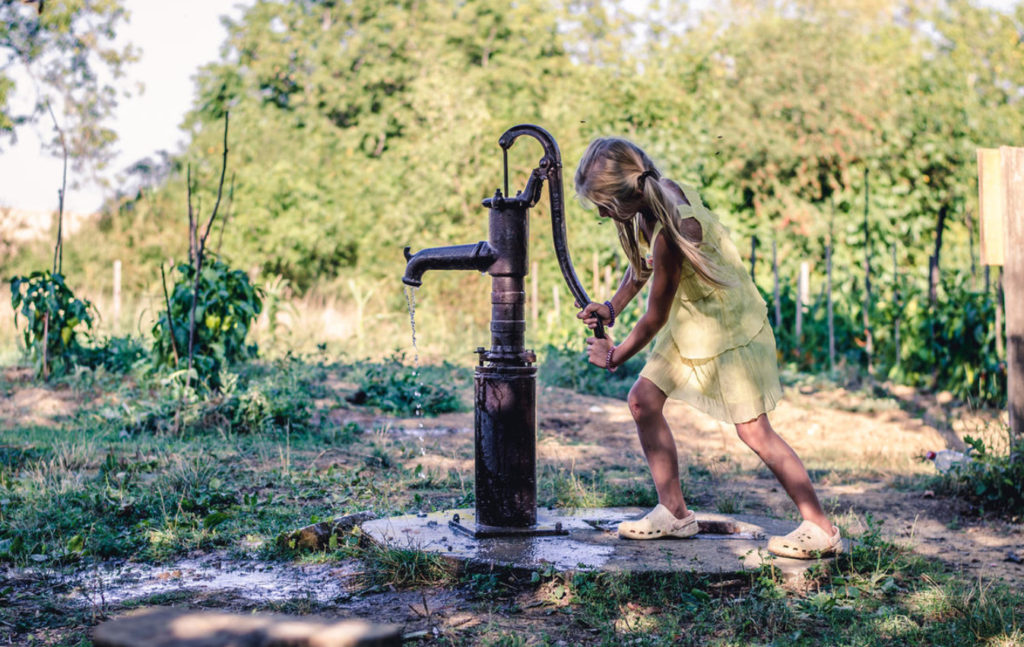 Does Watering With Warm Water Really Help to Increase the Yield Best