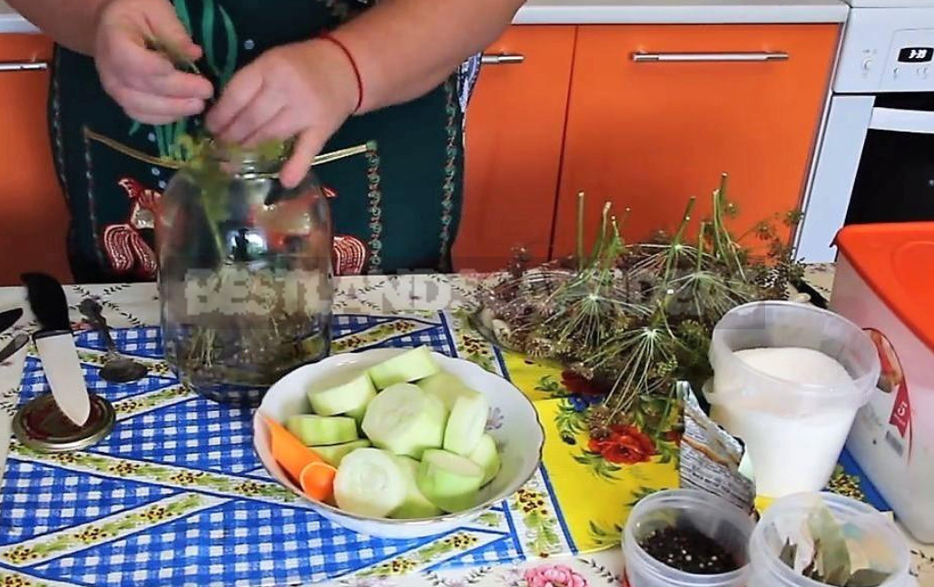 Favorite Assorted Vegetables for the Winter. Most Importantly, Put More Dill.