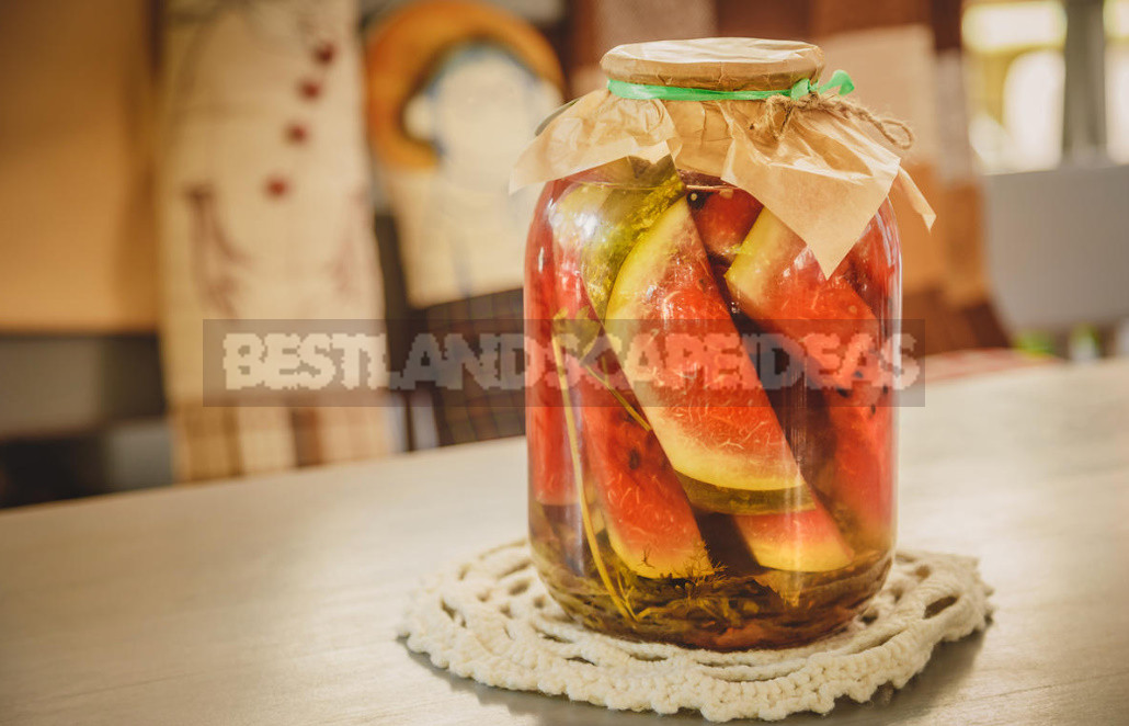 Have You Prepared a Watermelon for the Winter Yet? 4 Original Recipe!