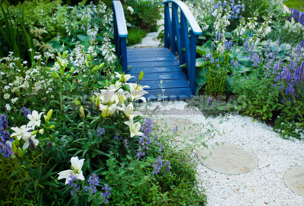 Planting Lilies in the Garden: Where, How, When And What to Plant