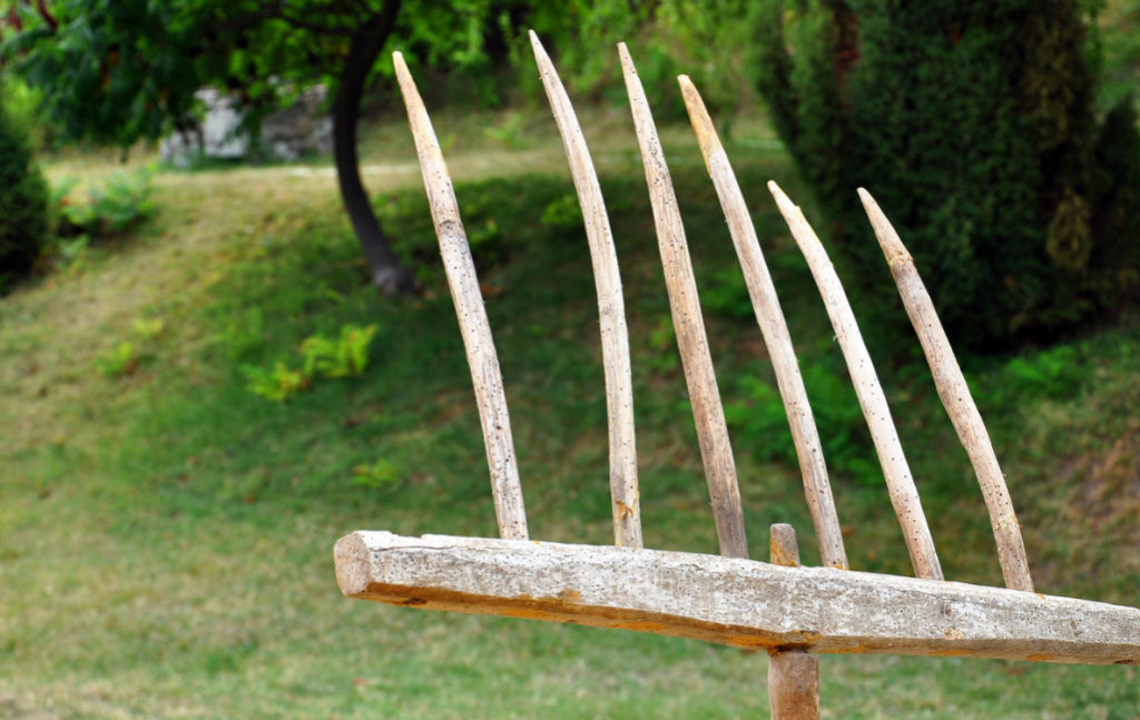 Rake History, Types and Purpose, Interesting Facts Best Landscape Ideas