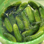 Salt or No Salt? Hybrids of Cucumbers for Blanks