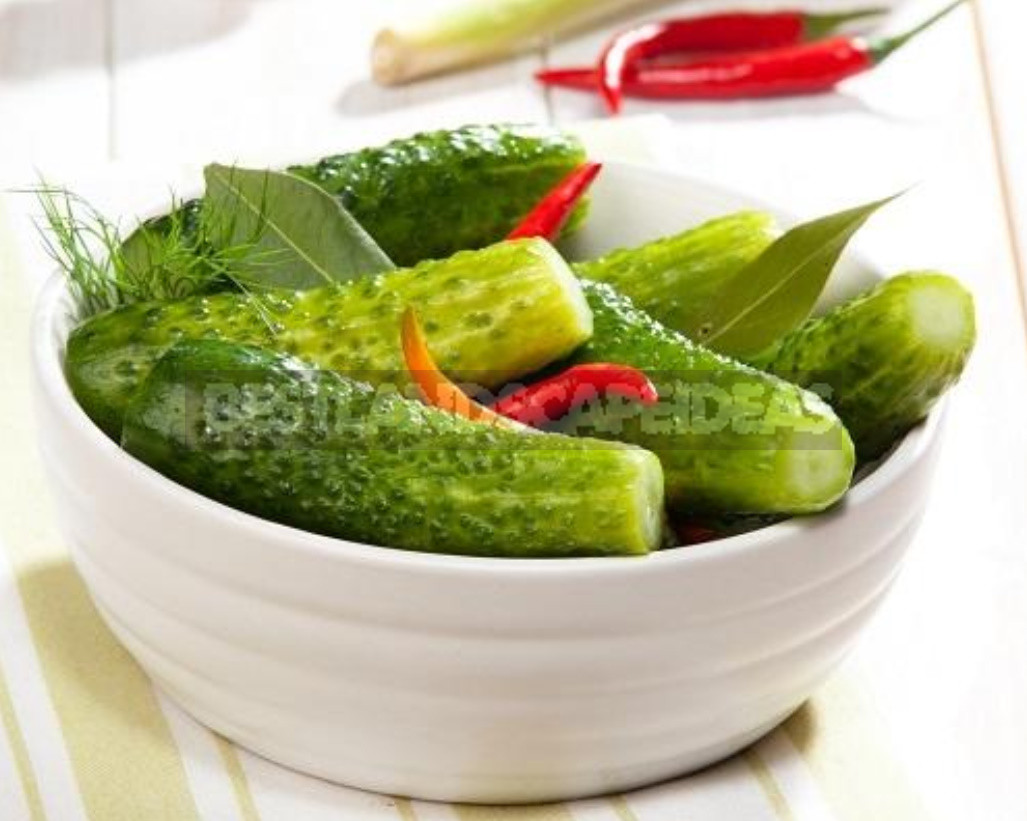 Salted Cucumbers in One Day: 3 Quick Recipes
