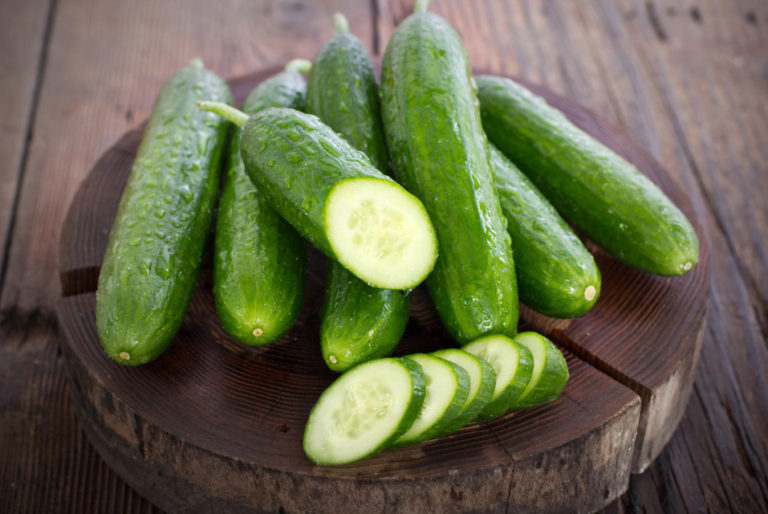 Why are Cucumbers Bitter? And they Have 5 Reasons. (Part 1) Best