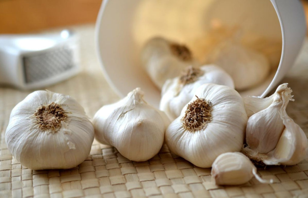 Garlic in Diseases of the Joints and Osteochondrosis