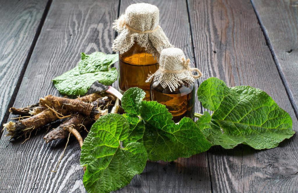 Dandelion And Burdock Roots Against Skin And Hair Diseases