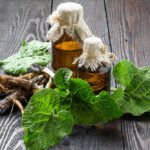 Dandelion And Burdock Roots Against Skin And Hair Diseases