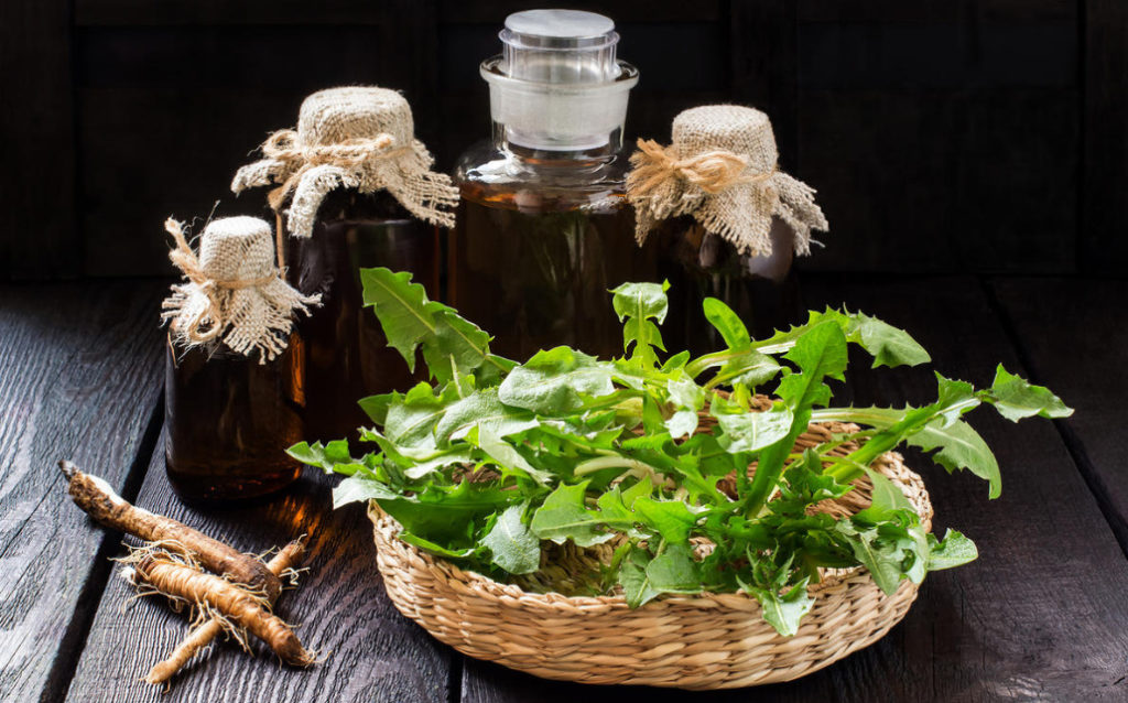 Dandelion And Burdock Roots Against Skin And Hair Diseases Best