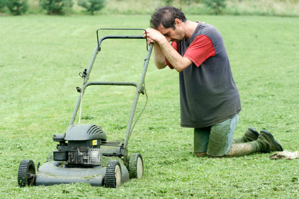 Five Mistakes In the Care of the Lawn, Which Can Irretrievably Spoil It