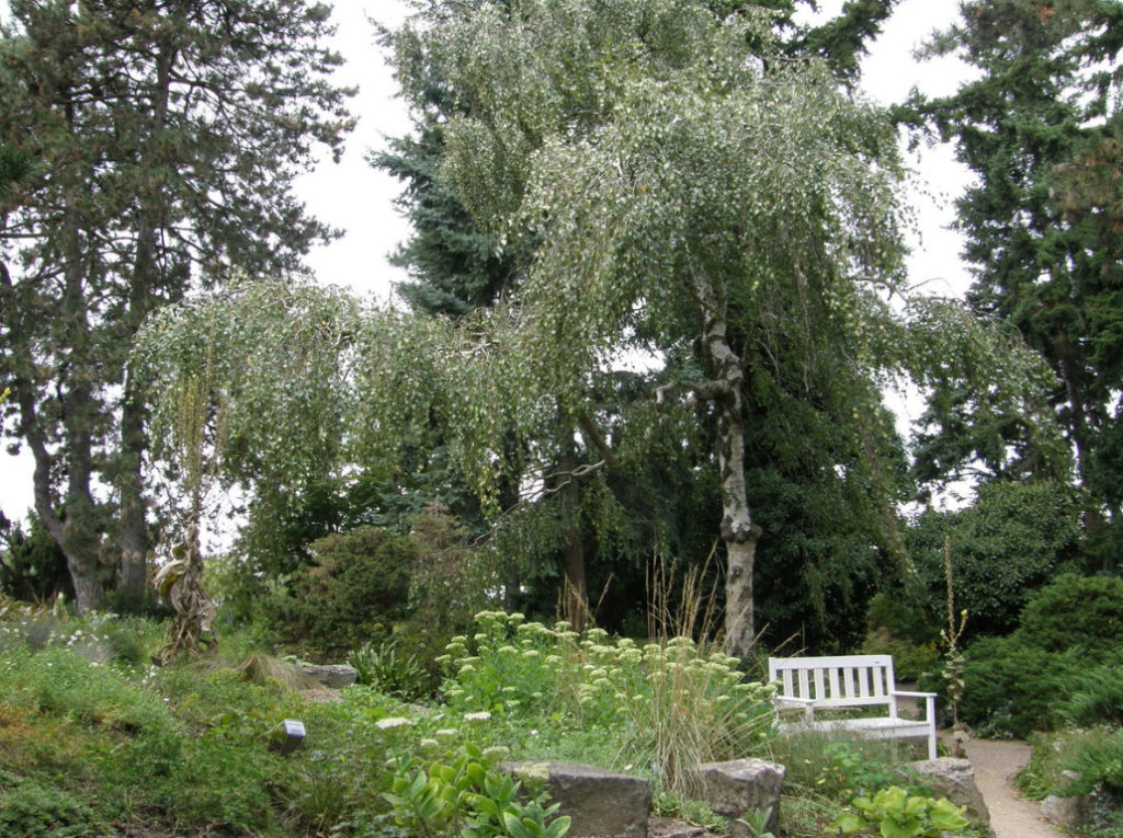Garden Recipe Karl Forster