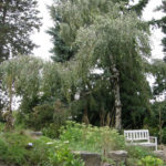 Garden Recipe Karl Forster