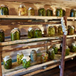 How to Get Rid of Mold in the Cellar (Part 1)