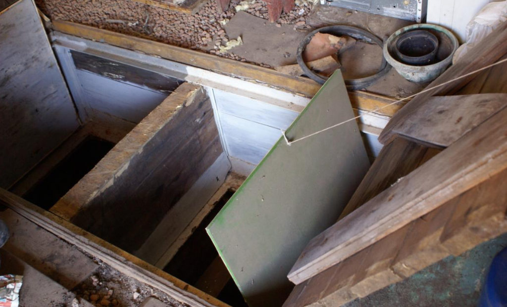 How to Get Rid of Mold in the Cellar (Part 2) Best Landscape Ideas