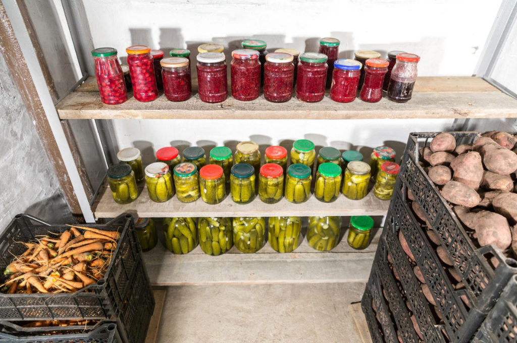 How to Get Rid of Mold in the Cellar (Part 2) Best Landscape Ideas