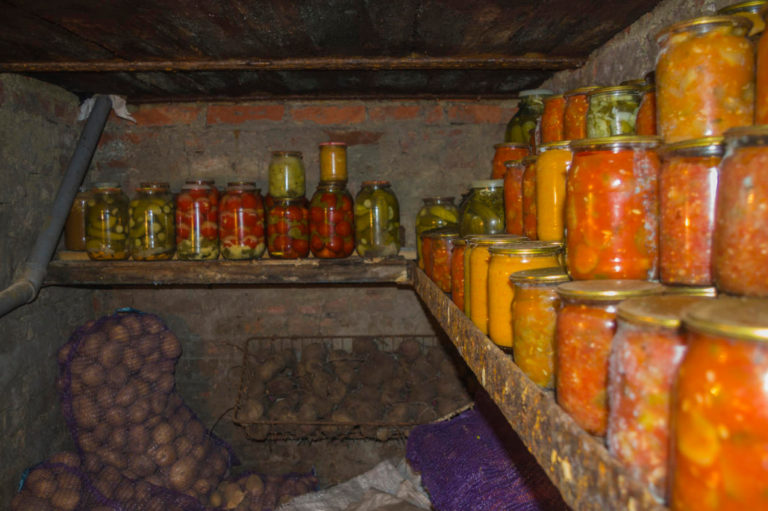 How to Get Rid of Mold in the Cellar (Part 1) Best Landscape Ideas