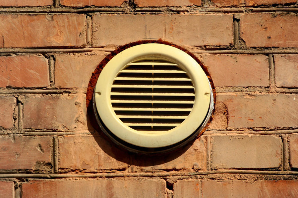 How to Get Rid of Mold in the Cellar (Part 1) Best Landscape Ideas