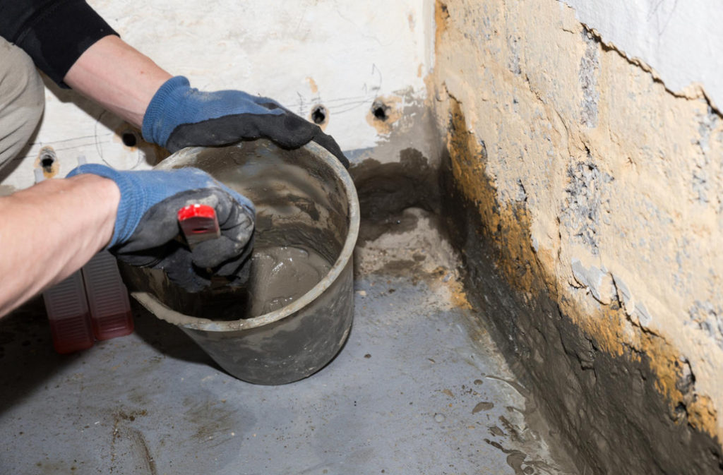 How to Get Rid of Mold in the Cellar (Part 1) Best Landscape Ideas