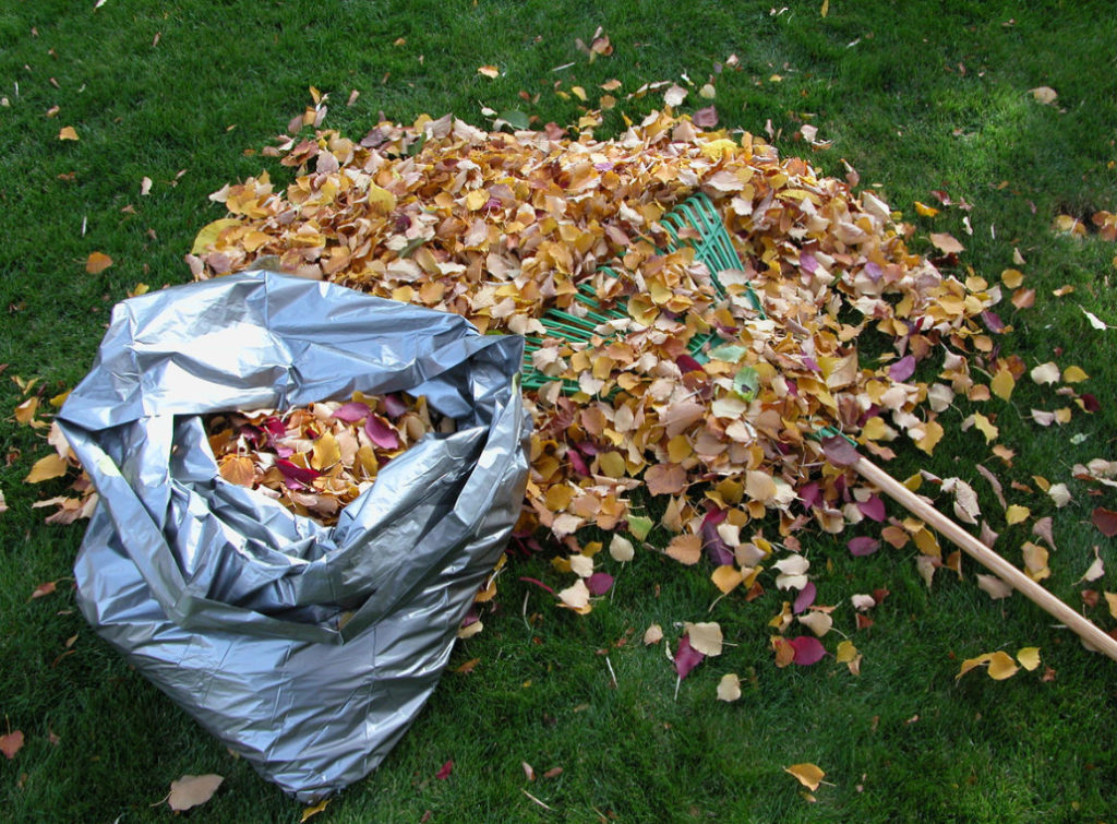 The Most Useful Compost From Fallen Leaves. Cooking Tricks.